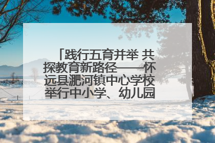 践行五育并举 共探教育新路径——怀远县淝河镇中心学校举行中小学、幼儿园班主任论坛活动